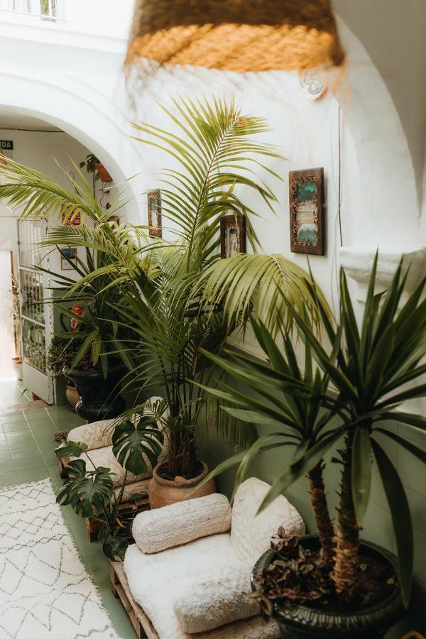 Hostal Africa Tarifa Exterior photo