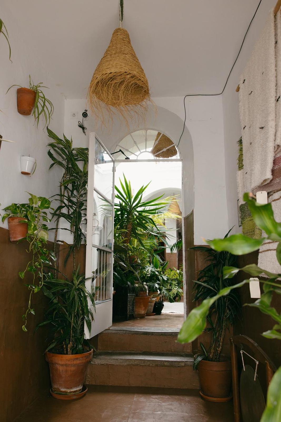 Hostal Africa Tarifa Exterior photo
