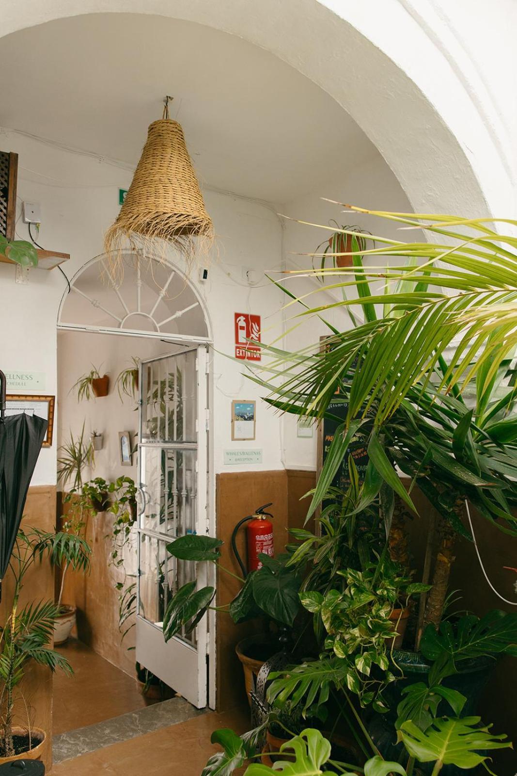 Hostal Africa Tarifa Exterior photo